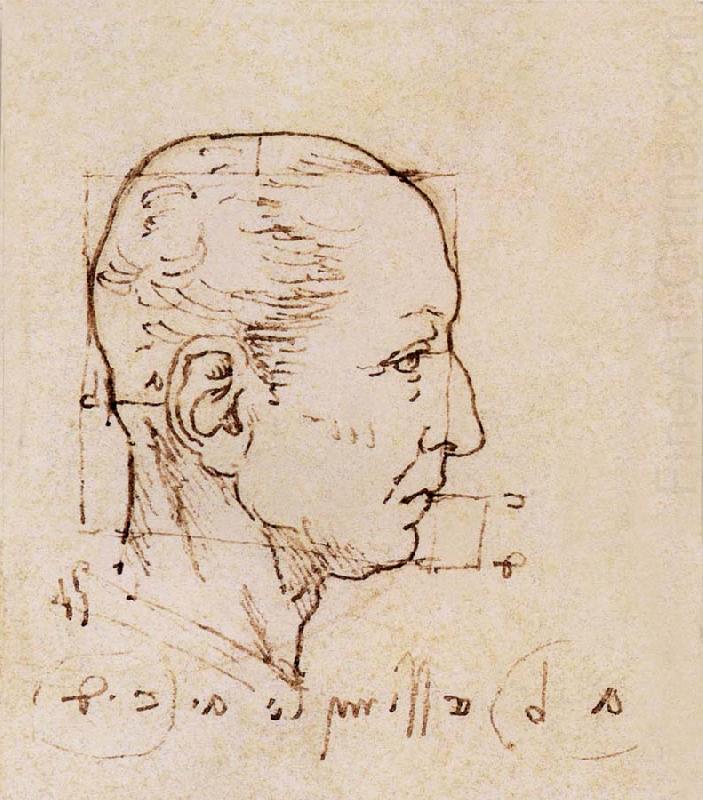 LEONARDO da Vinci Study of the proportion of the head china oil painting image